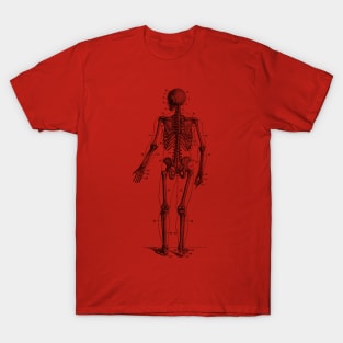 Backward Facing Skeletal Diagram - Vintage Anatomy T-Shirt